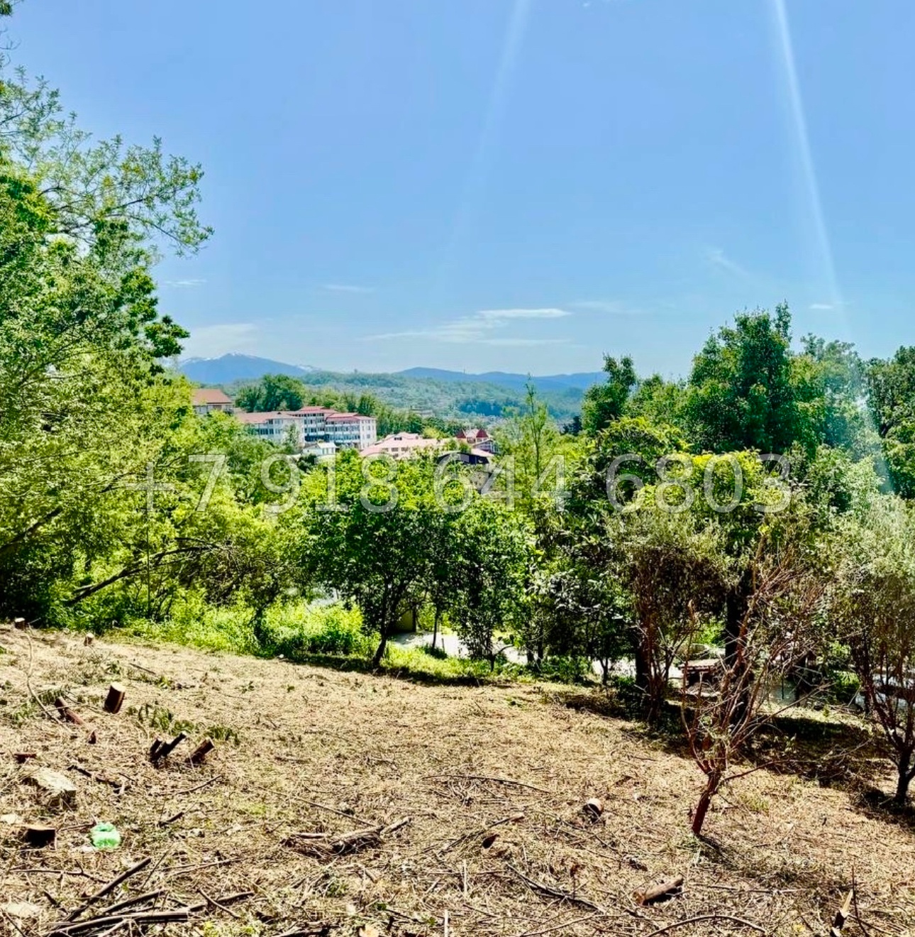 № 7у. Земля рядом с Сириусом  - миниатюра 4