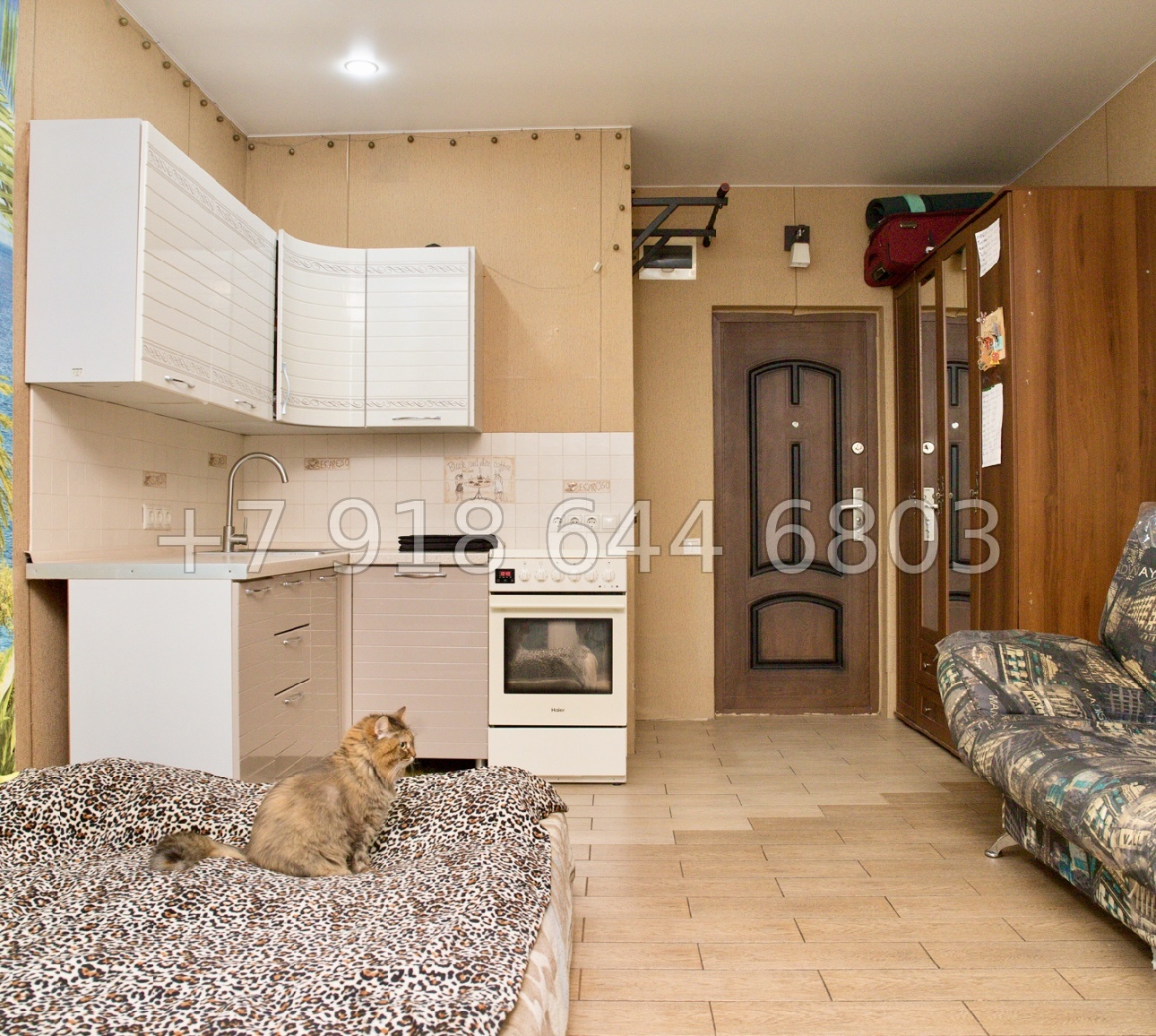 № 47п. Квартира в Адлере, недалеко от Сириуса  - миниатюра 4