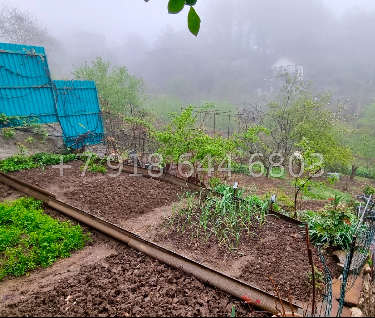 № 55 А. Дом по дороге на Красную Поляну в Галицыно  - миниатюра 4