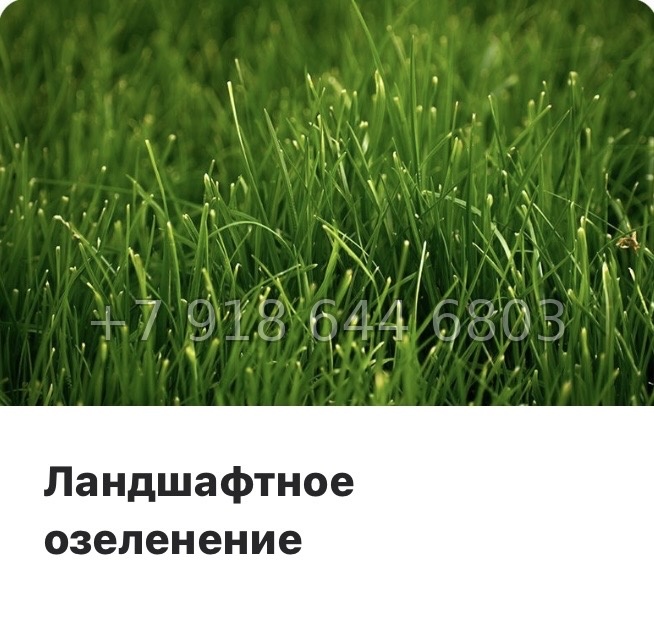 № 113 в. Метро Ломоносовская. Метро улица Дыбенко. ЖК Октябрьская набережная Санкт Петербург  - миниатюра 21