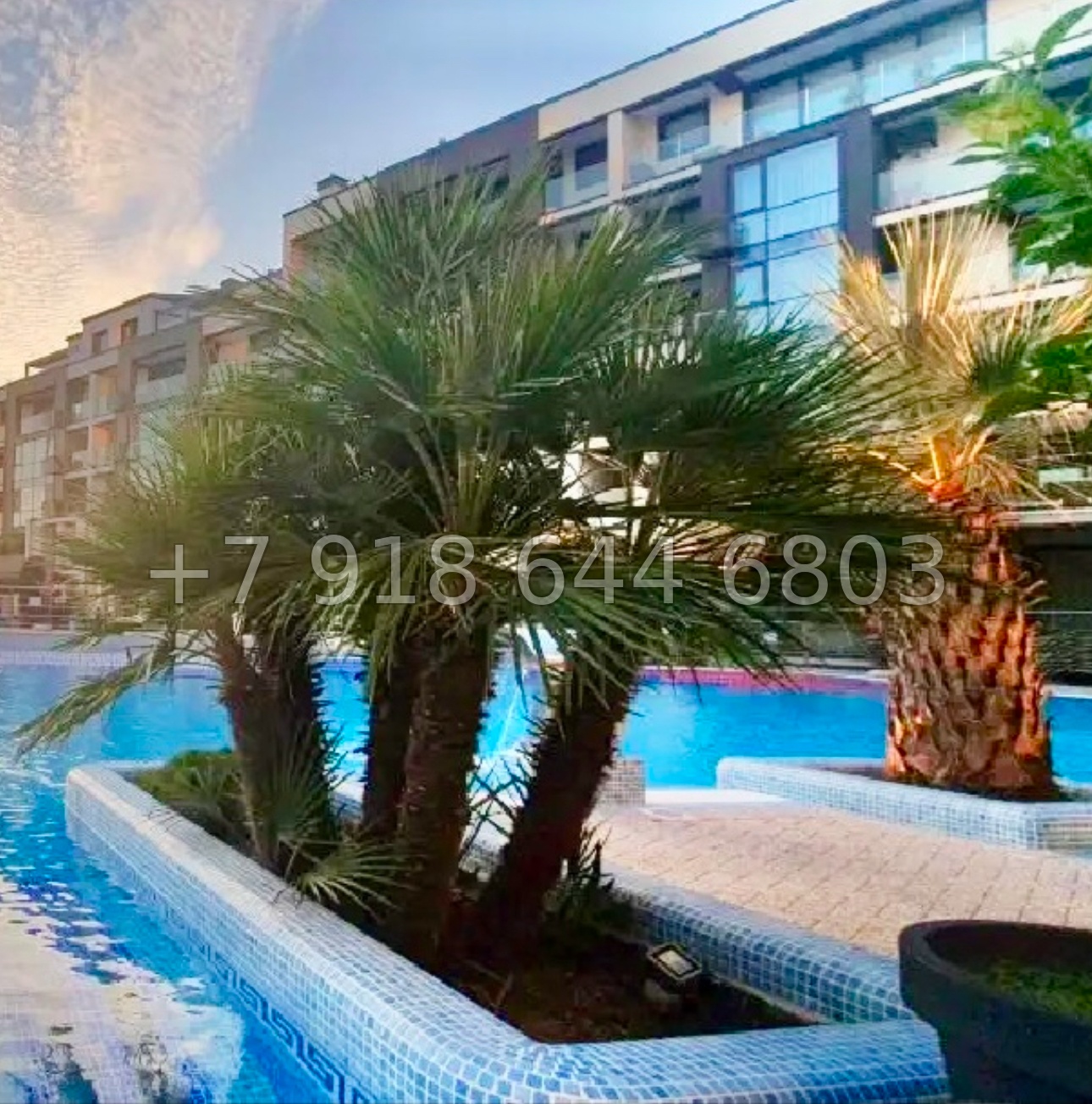 № 479 р. Квартира в дорогом жилом комплексе Сочи  - миниатюра 13