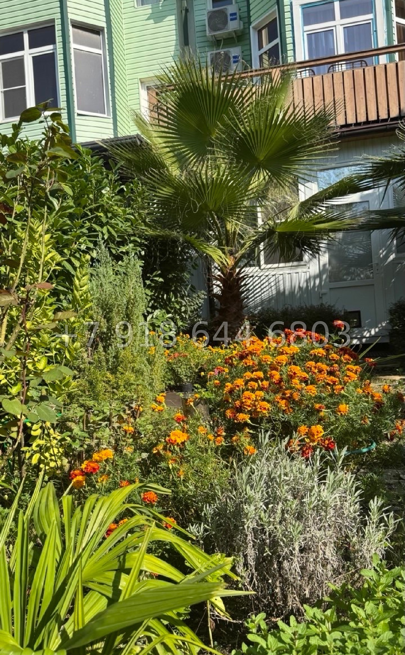 № 170 А. Таунхаус большой площади в Адлере  - миниатюра 13