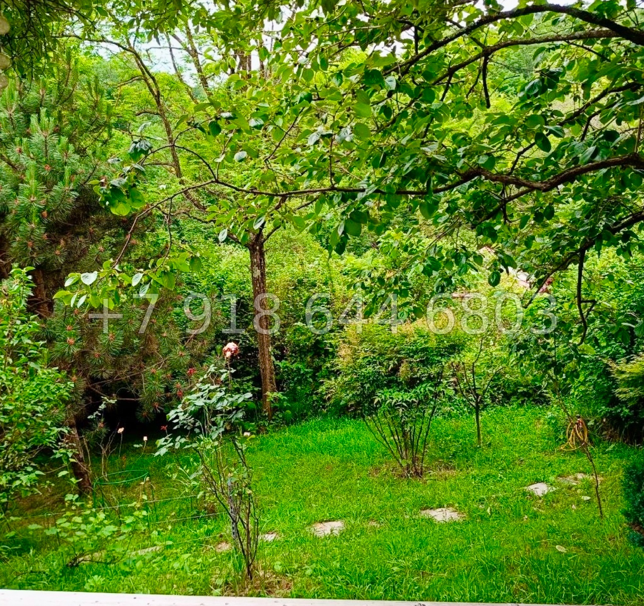 № 125 А. Дом с ремонтом в Адлере  - миниатюра 14