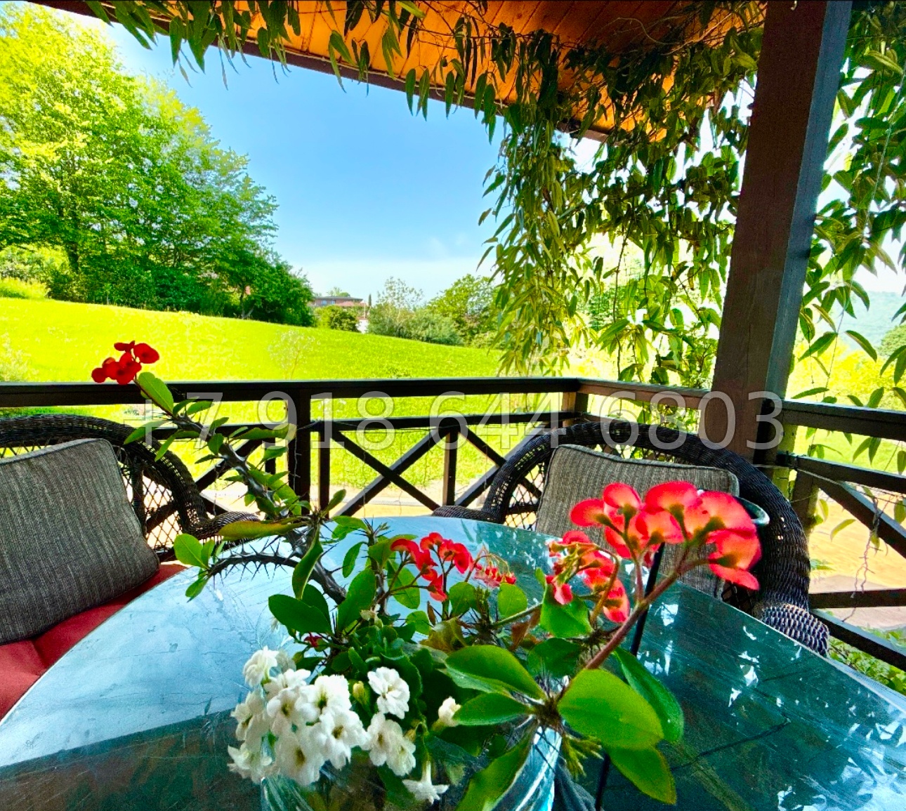 № 77 м. Дом в Сочи. 30 соток земли  - миниатюра 11