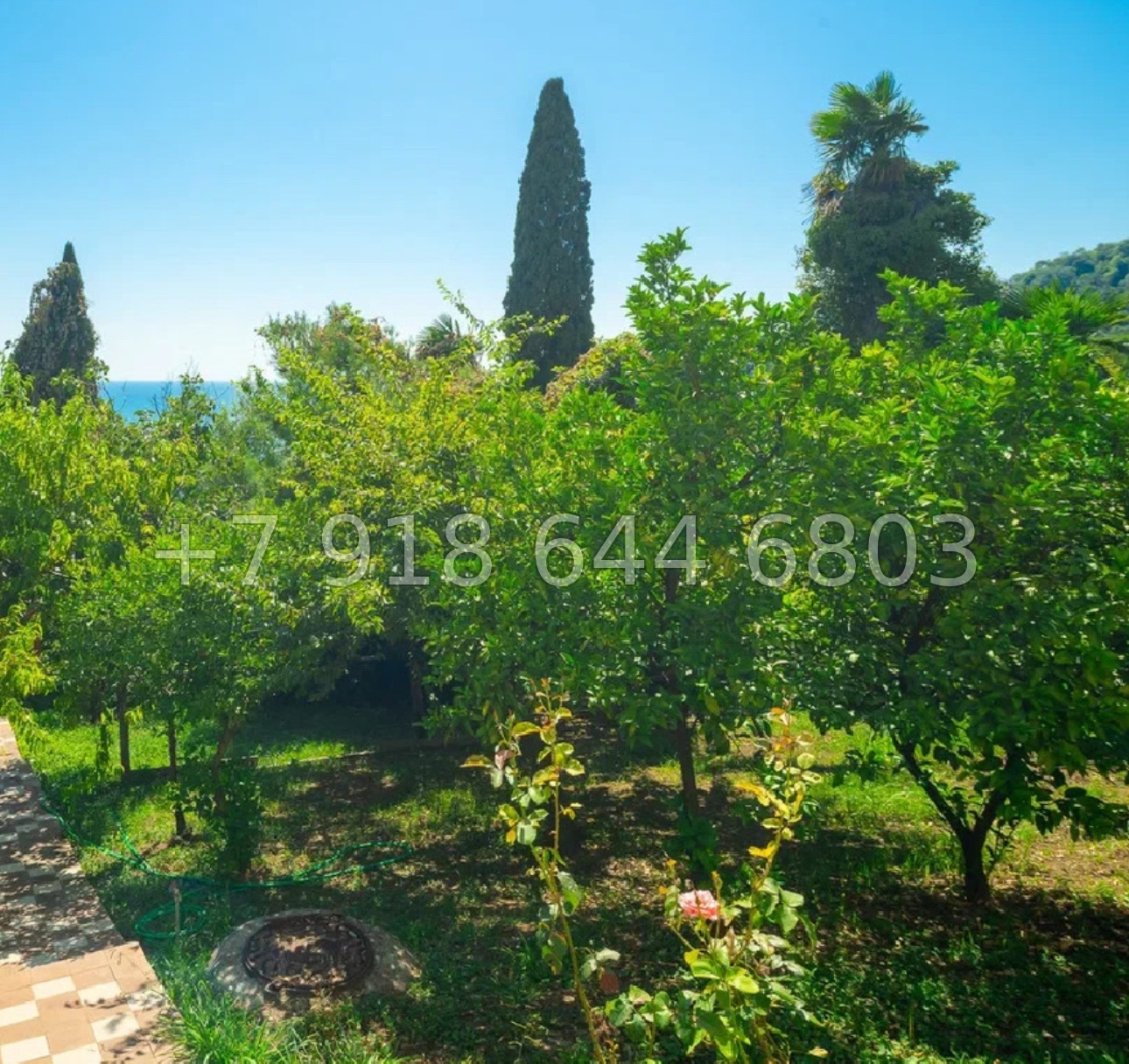 № 198 Б. Дом с ремонтом и мебелью. Вид на море. Сочи Хоста  - миниатюра 6