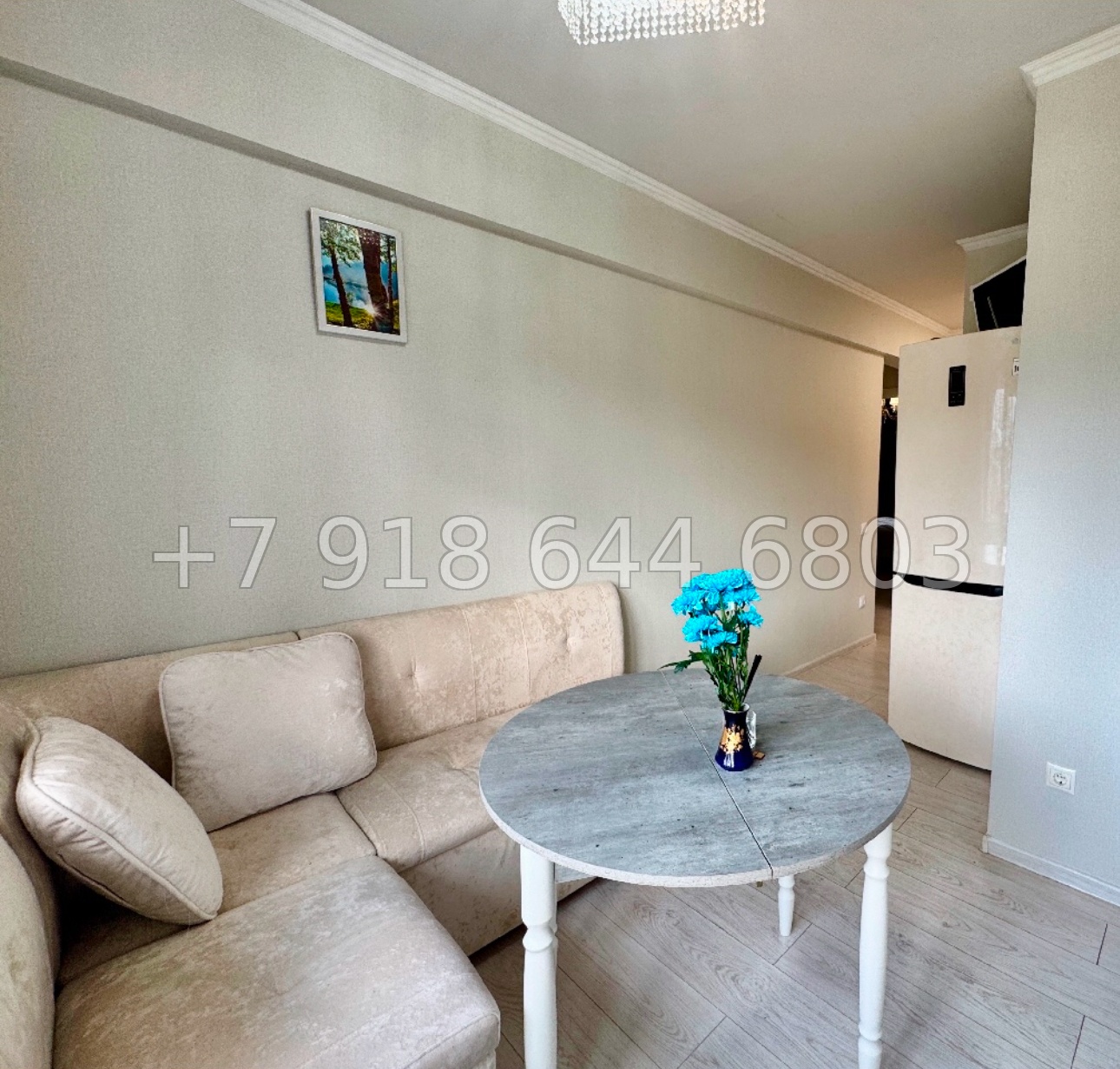 № 572 р. Двухкомнатная квартира в самом центре города Сочи  - миниатюра 7