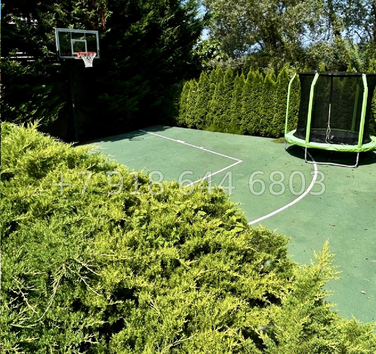 № 215 Б. Дом с видом на море в Сочи Шексна - миниатюра 5