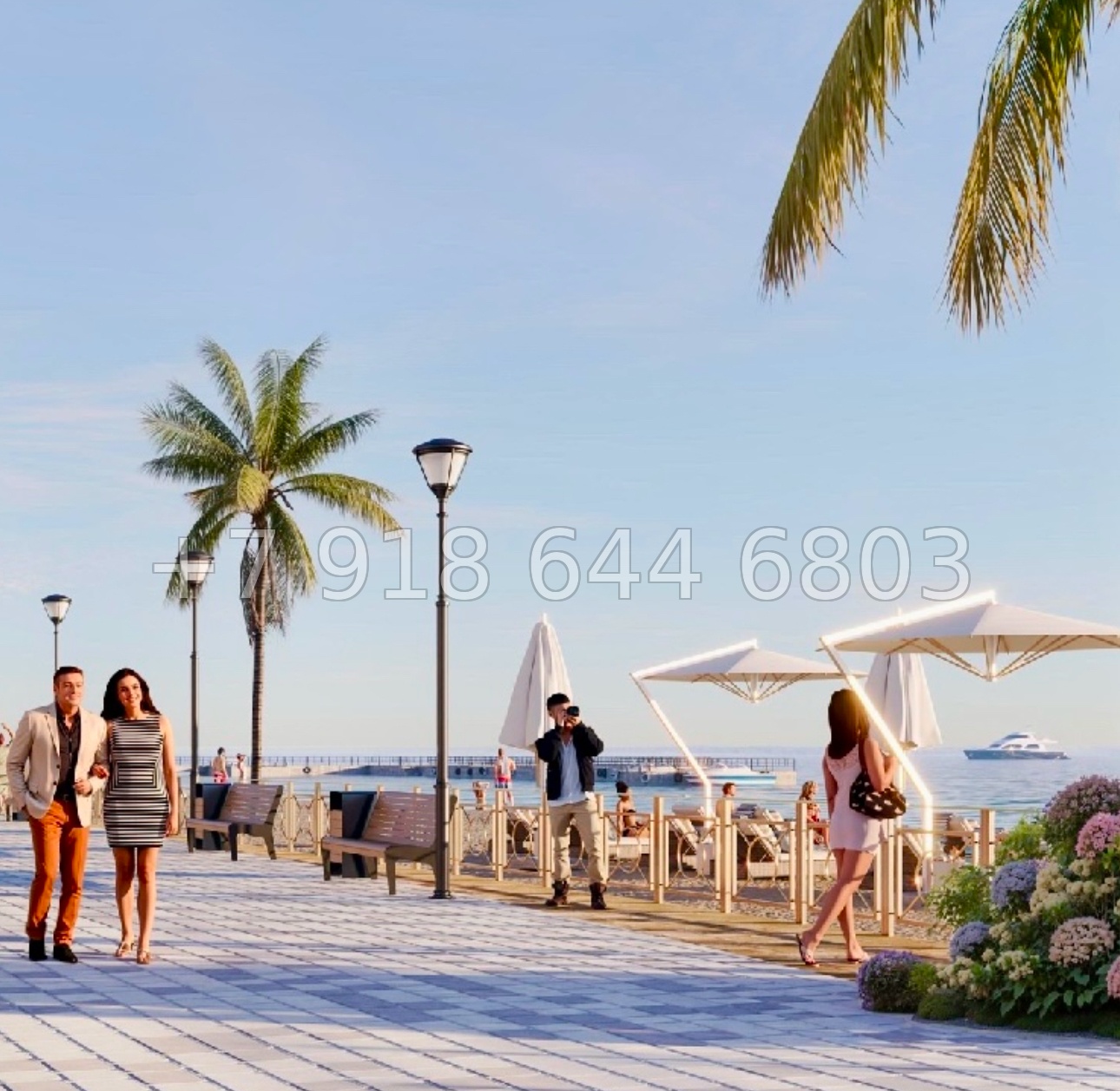 № 46 ю. АК Сады Киммерии Саки - миниатюра 5