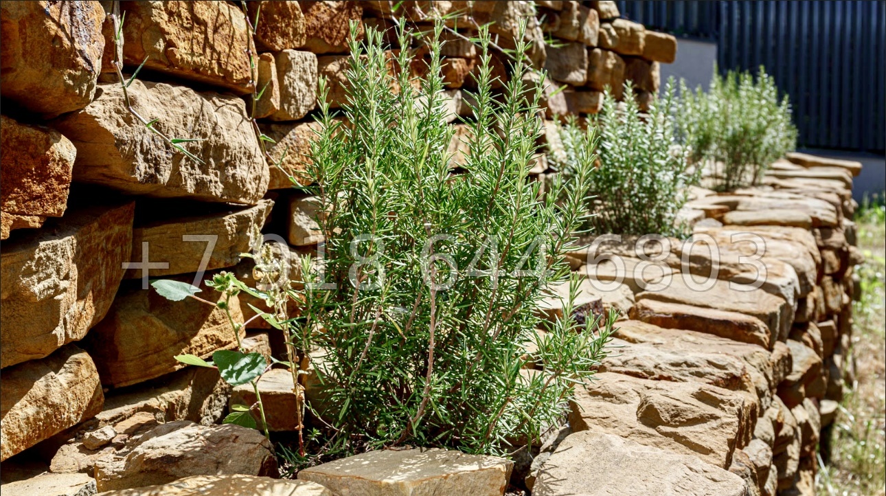 № 36 Б. Дома с бассейном в Адлере  - миниатюра 34