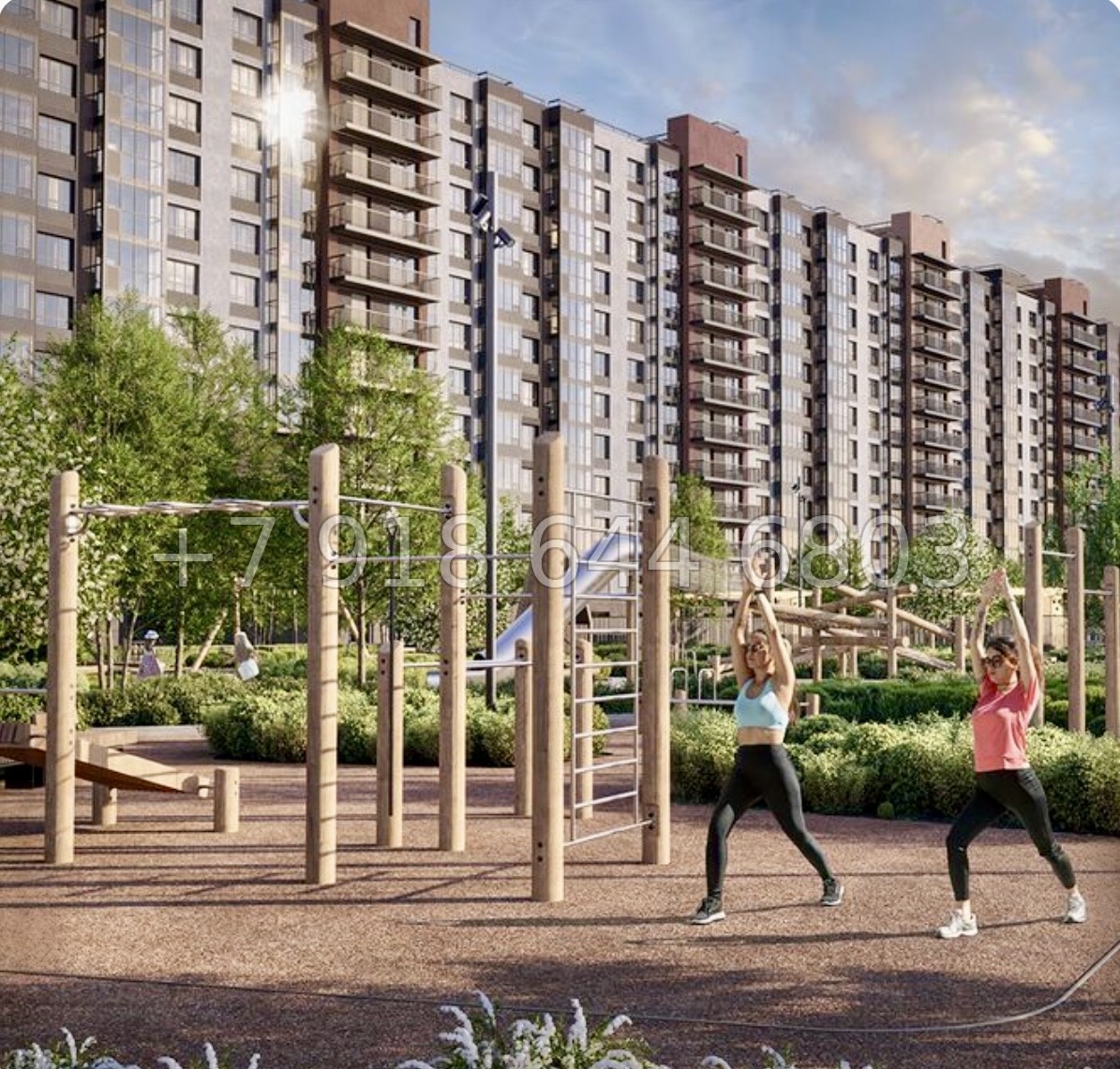 № 84 в. Метро Парнас. ЖК Dogma. Юкки - миниатюра 2