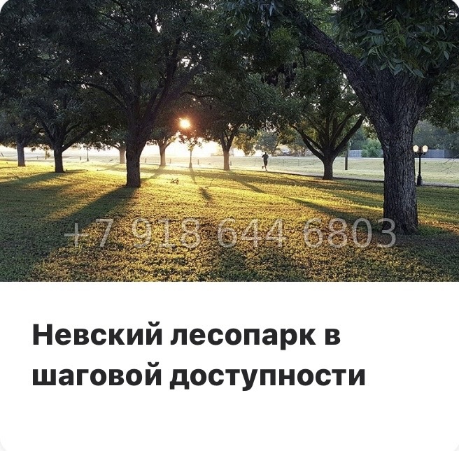 № 103 в. Метро Пролетарская. ЖК Южная Нева  - миниатюра 37