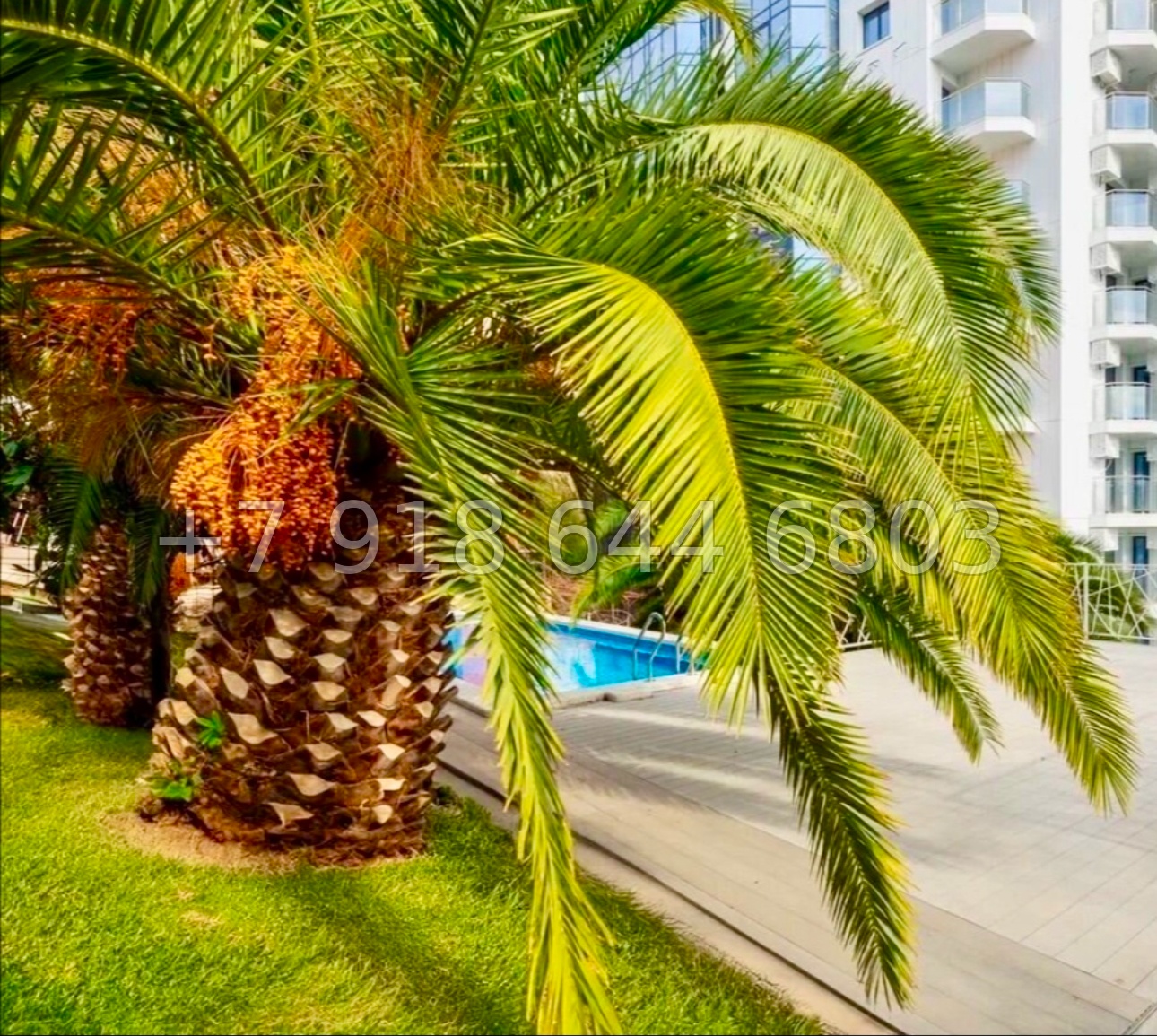 № 426 р. Большая площадь. Квартира в Сочи с бассейном на территории  - миниатюра 43