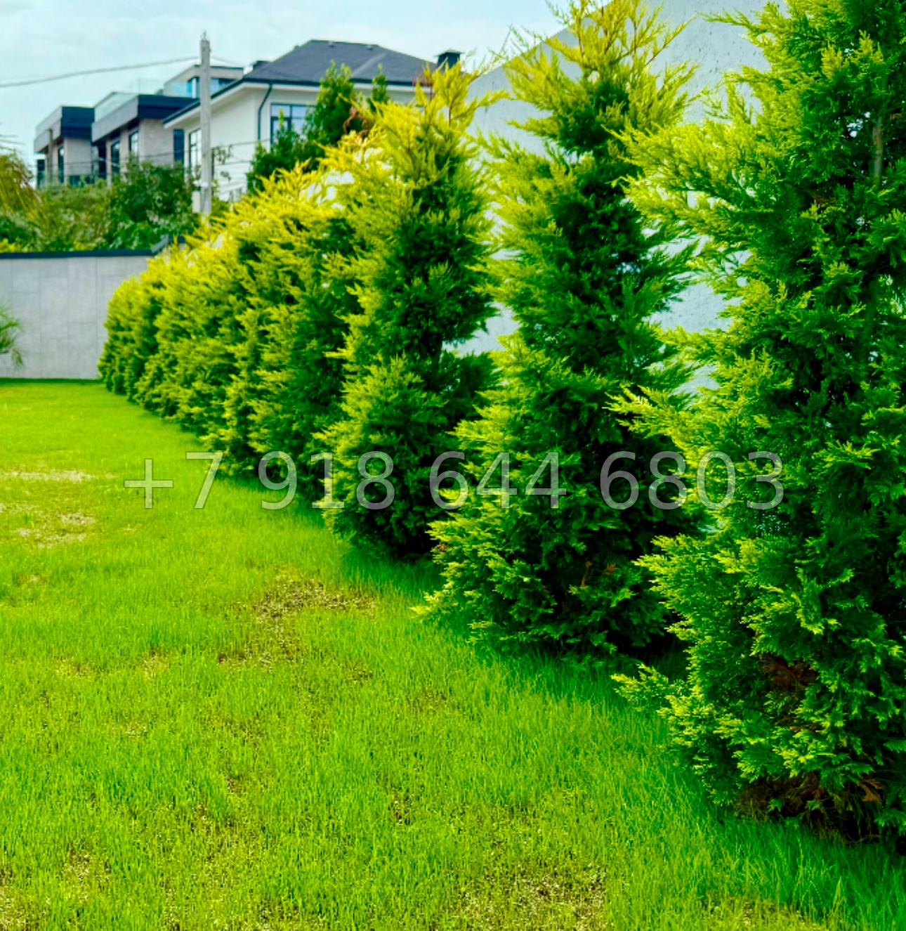 № 2 М. Дом с бассейном в Адлере  - миниатюра 11