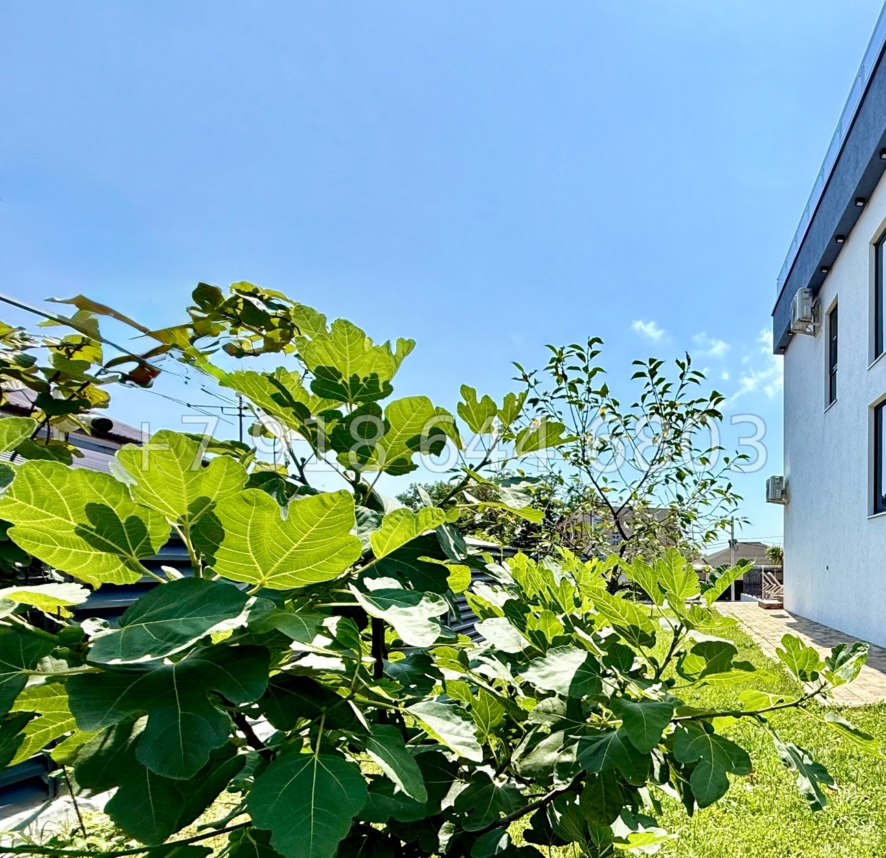 № 3 В. Дом с ремонтом в Адлере  - миниатюра 16