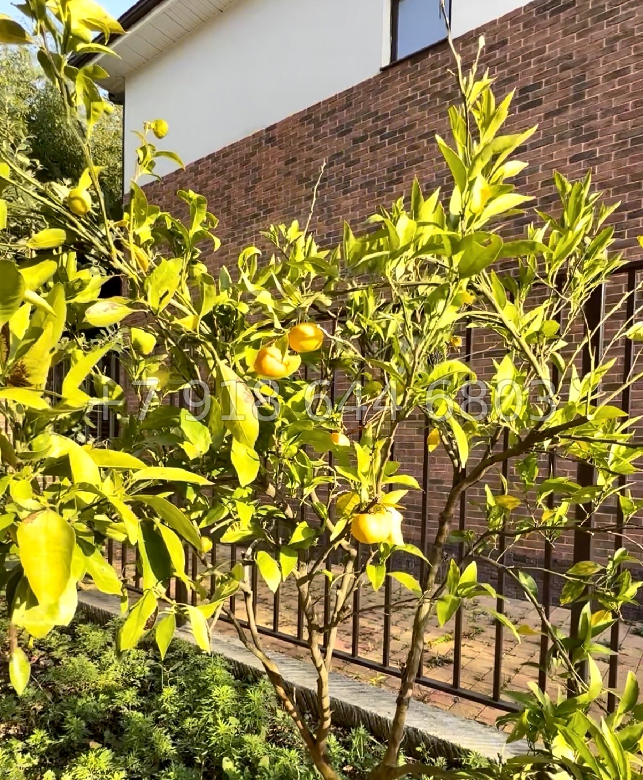 № 101 А. Дом в Адлере  - миниатюра 14