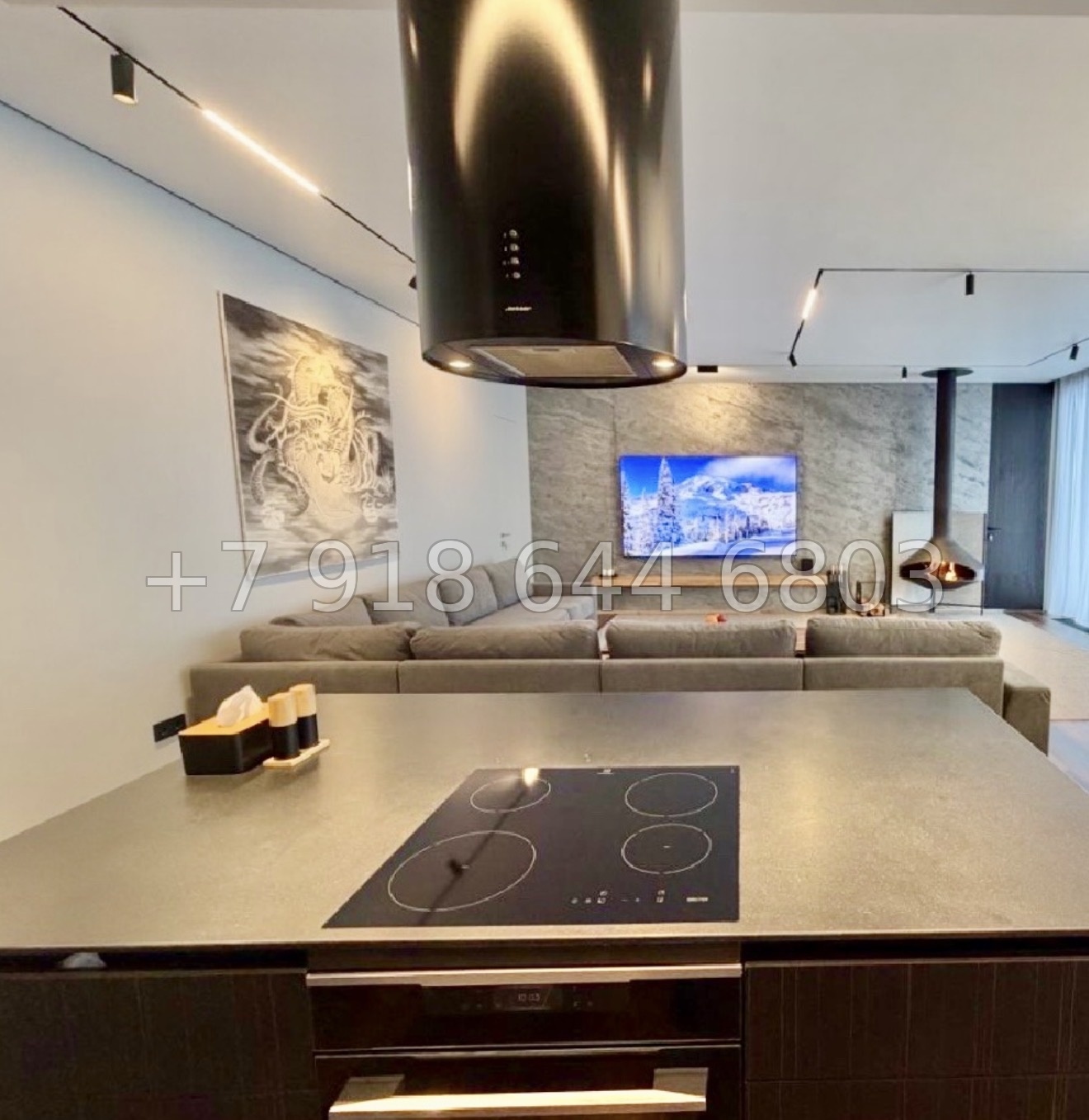 № 53 п. Дом на Красной Поляне  - миниатюра 5