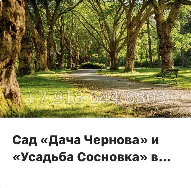 № 113 в. Метро Ломоносовская. Метро улица Дыбенко. ЖК Октябрьская набережная Санкт Петербург  - миниатюра 22