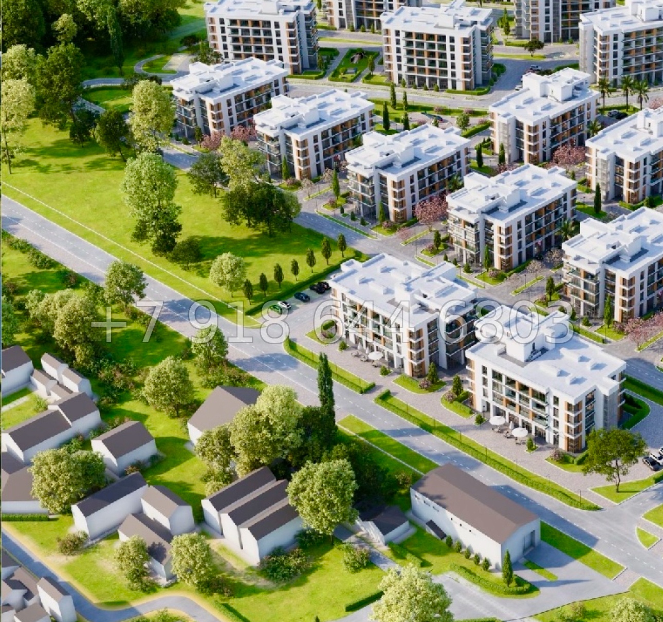 № 46 ю. АК Сады Киммерии Саки - миниатюра 17