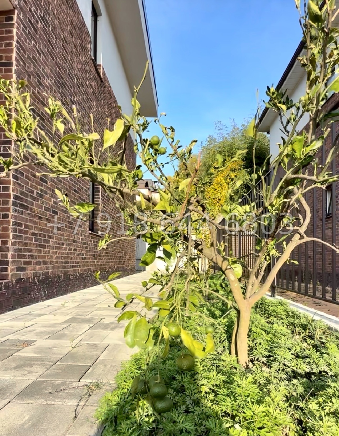 № 101 А. Дом в Адлере  - миниатюра 13