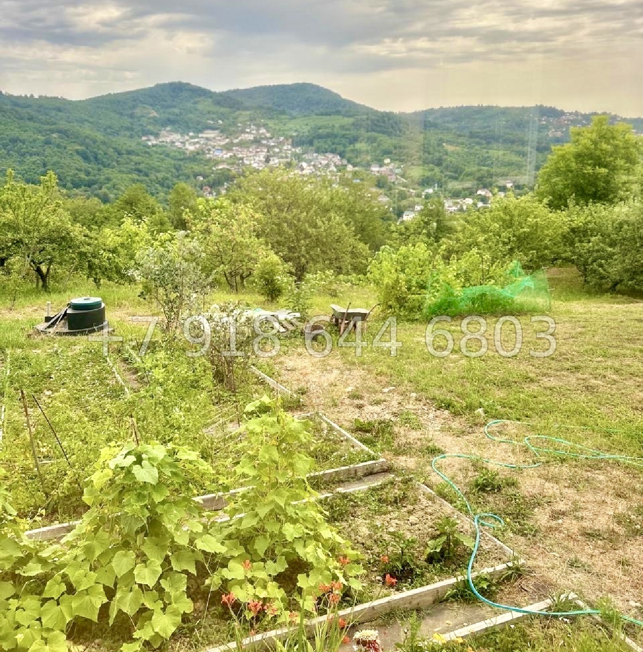 № 156 Б. Дом в Сочи с ремонтом  - миниатюра 9