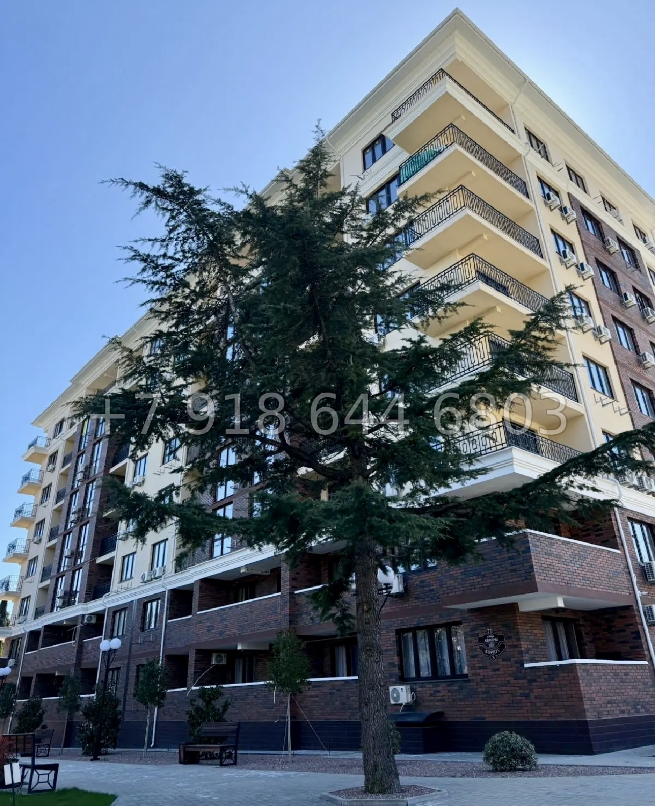 № 52 г. Апартаменты в Ялте  - миниатюра 17