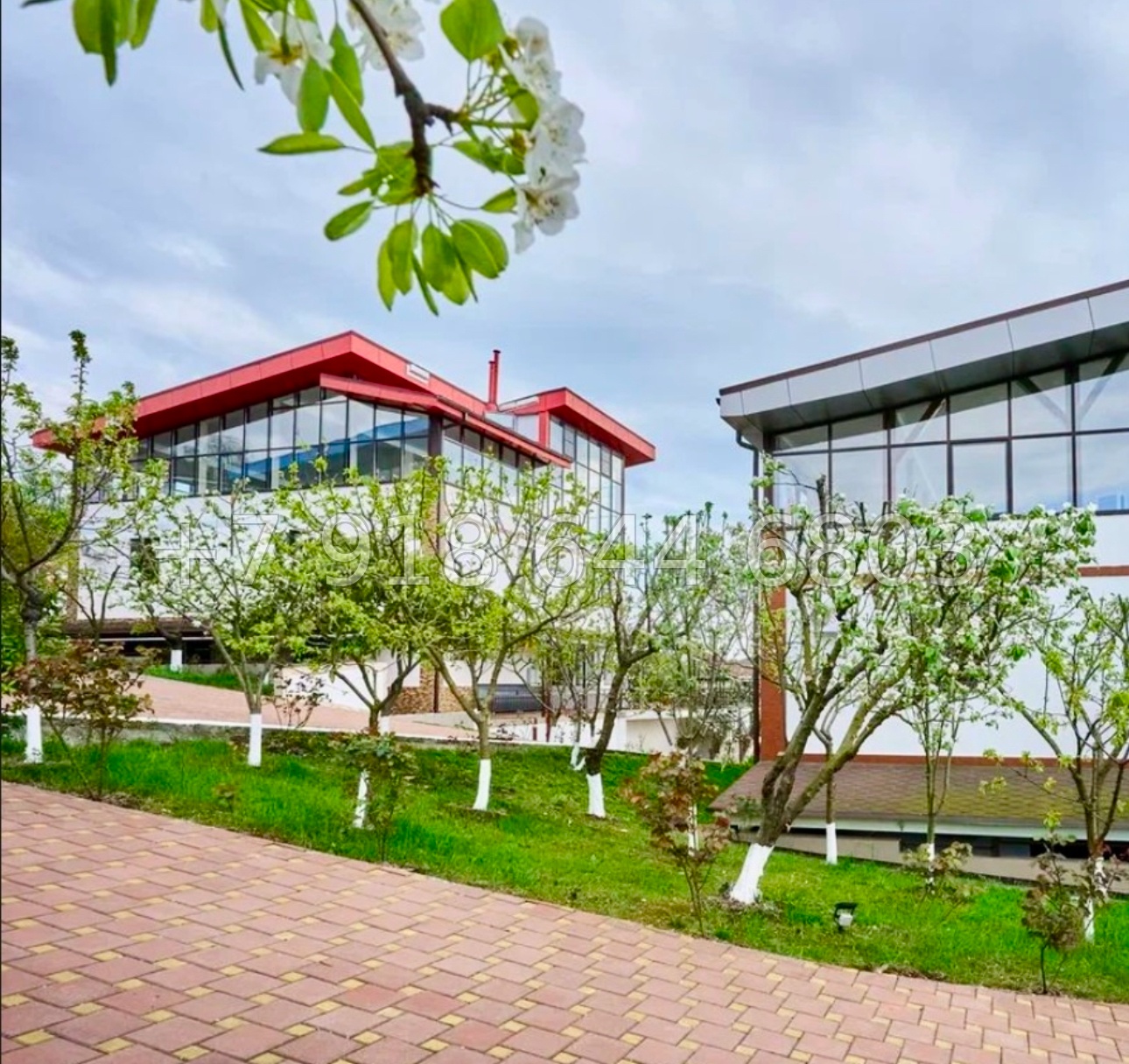 № 174 Б. Три дома в Адлере с большим участком земли  - миниатюра 77