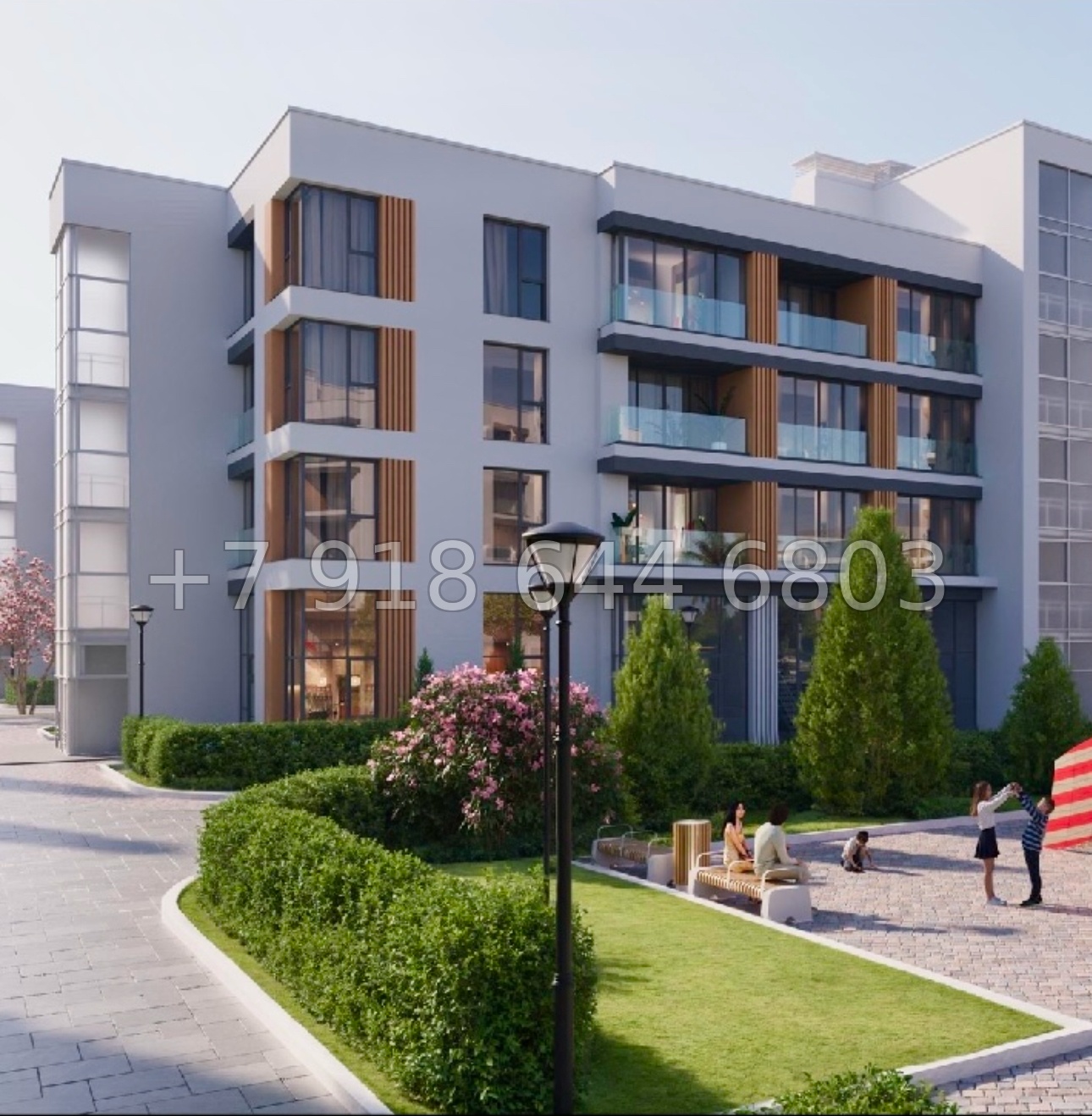 № 46 ю. АК Сады Киммерии Саки - миниатюра 12