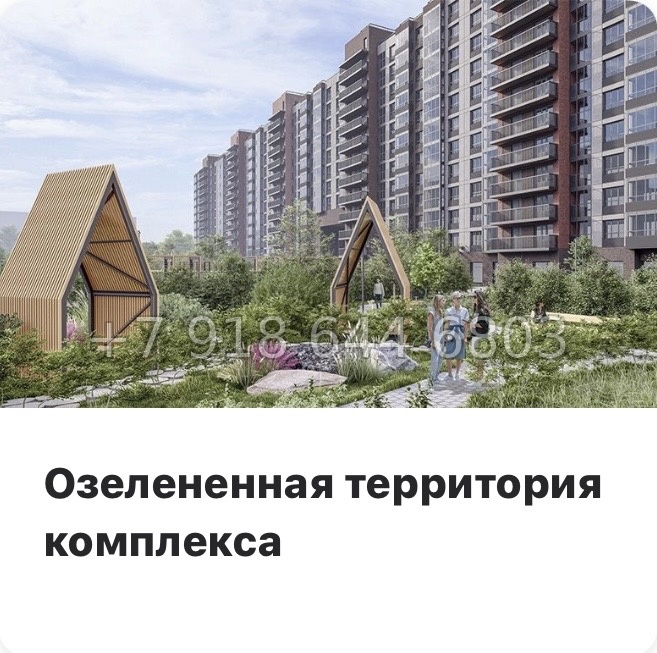 № 84 в. Метро Парнас. ЖК Dogma. Юкки - миниатюра 13