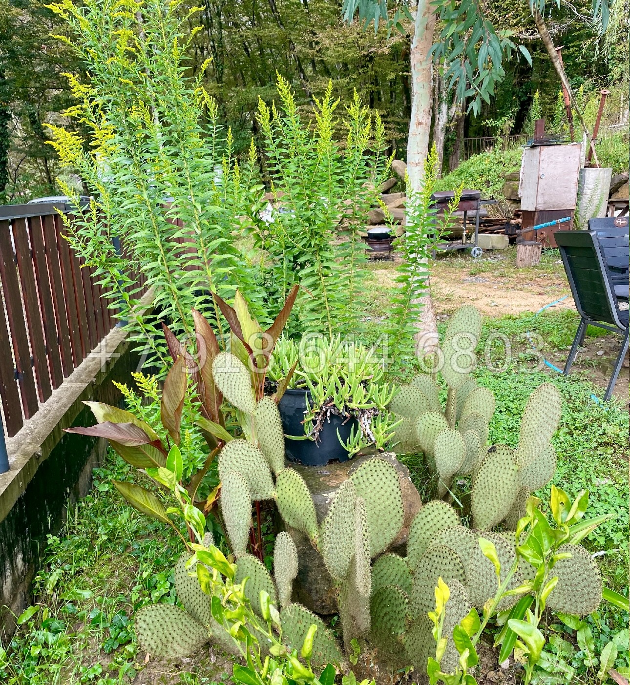 № 169 Б. Дом с ремонтом в Сочи на Мацесте  - миниатюра 18