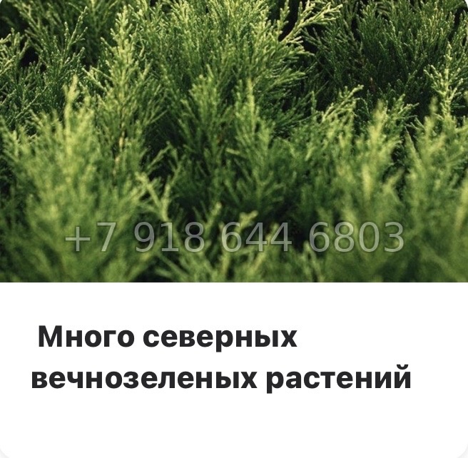 № 100 в. Метро Купчино. ЖК Солар Парк Санкт Петербург Шушары  - миниатюра 10