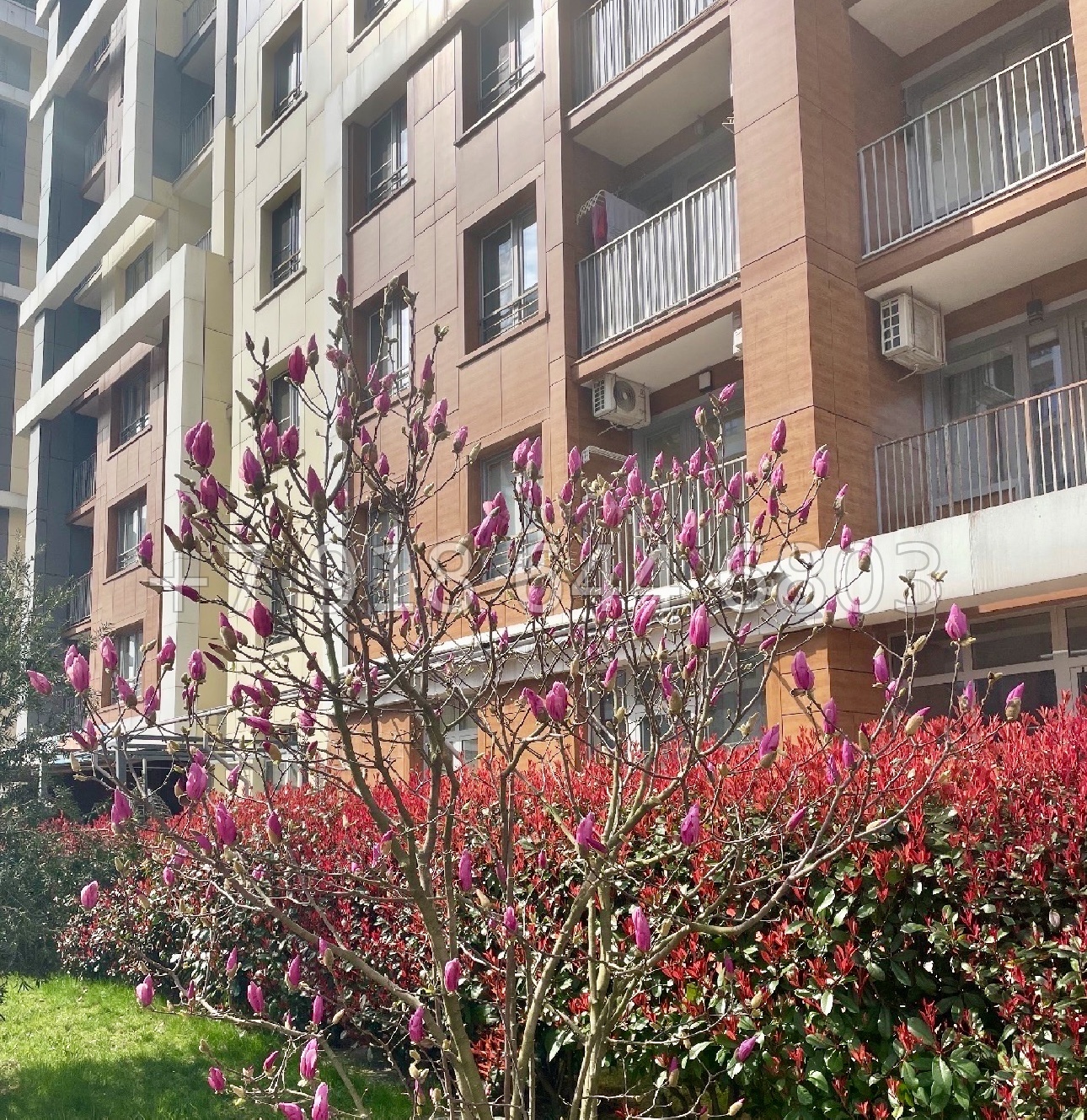 № 507 р. ЖК Каравелла Португалии Сочи Дагомыс  - миниатюра 11