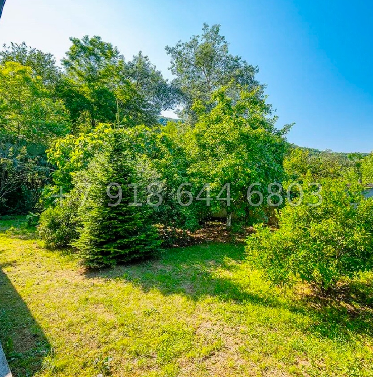 № 59 в. Дом с прудом в Сочи на Мацесте - миниатюра 18