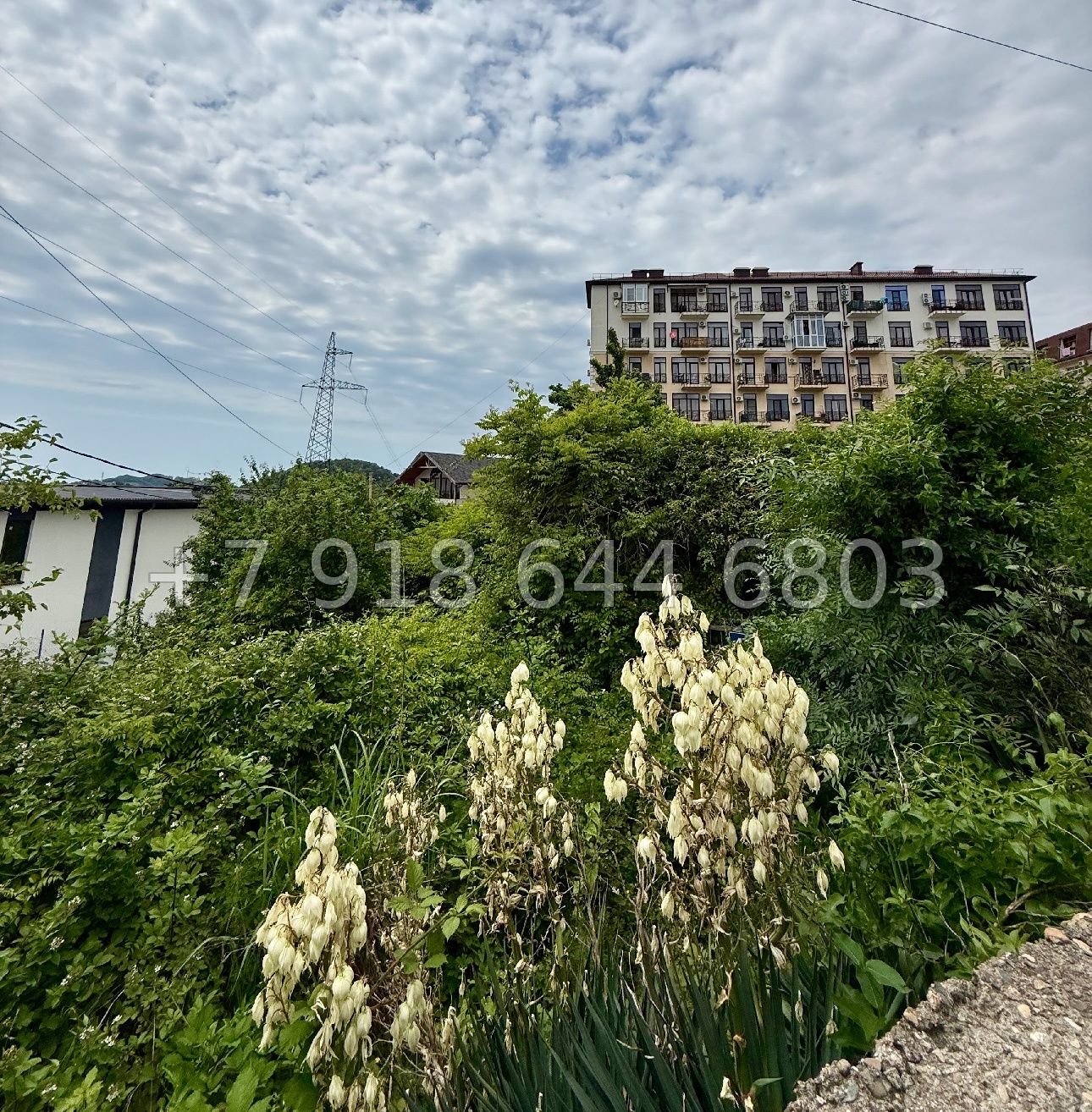 № 4у. Дом в Сочи  - миниатюра 16