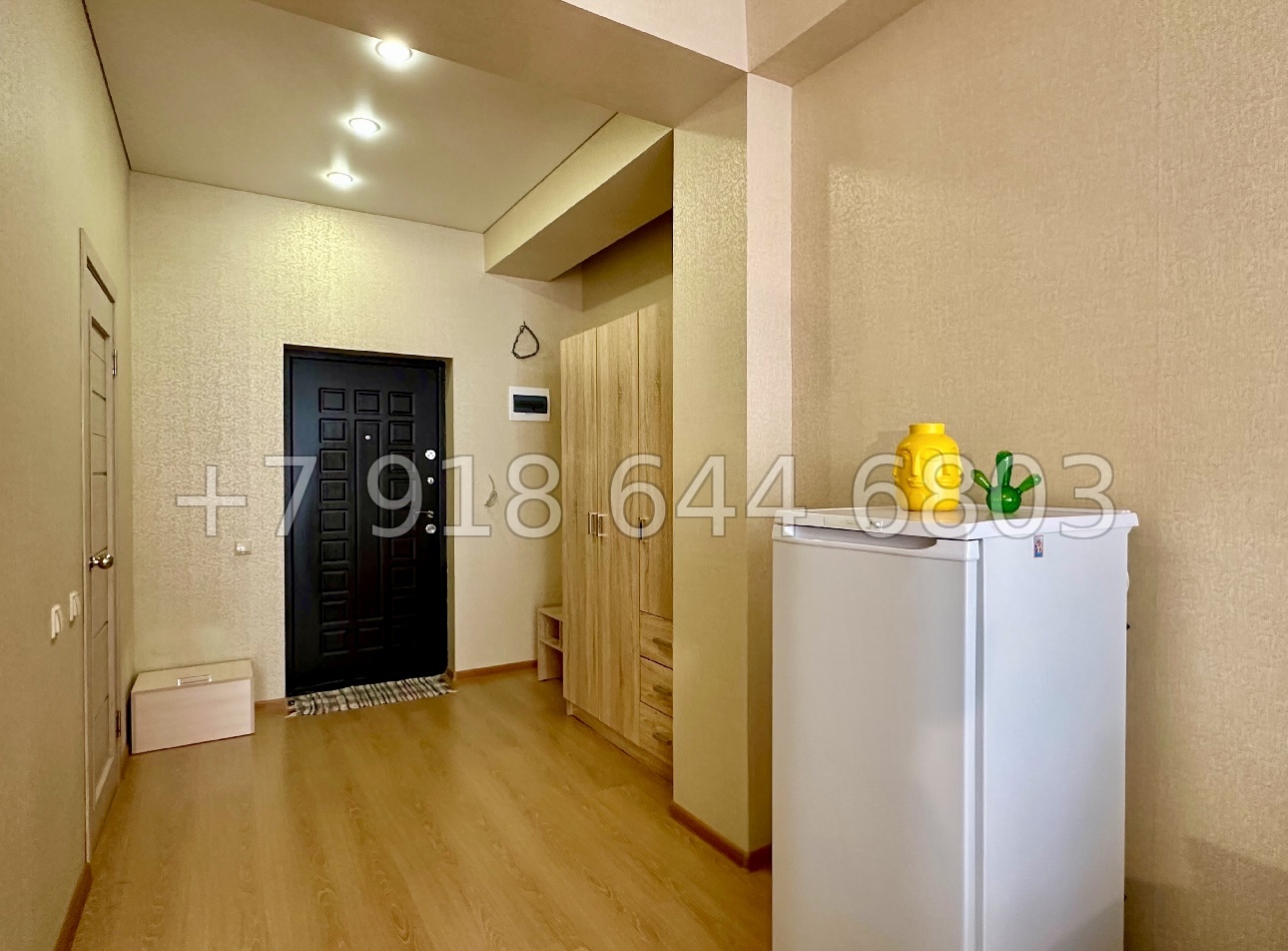 № 50п. Квартира в Адлере. Небольшая, но хорошая для сдачи и отдыха  - миниатюра 19