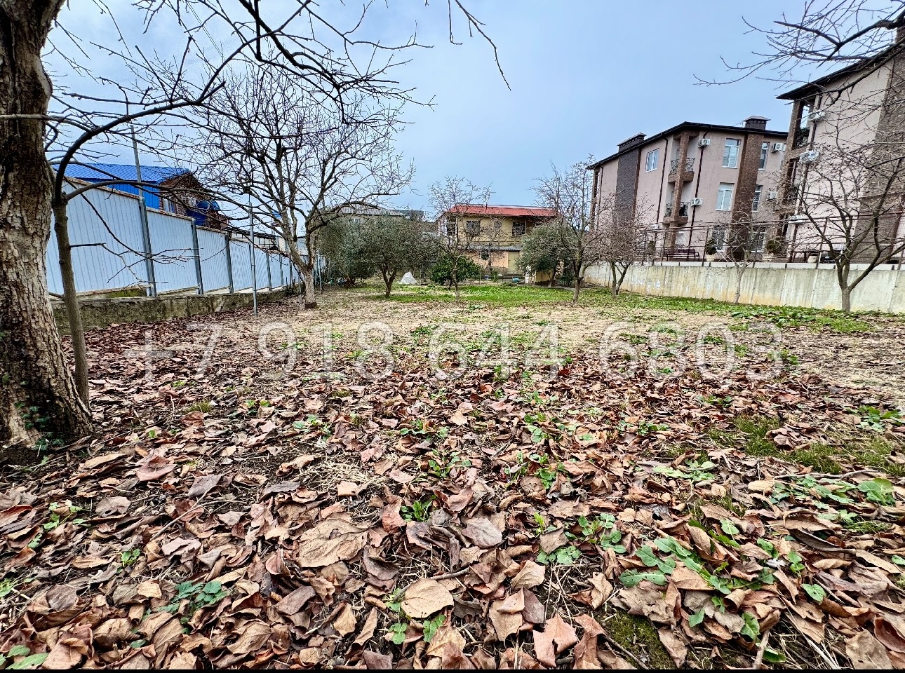 № 8у. Земля в Адлере у Сириуса  - миниатюра 1