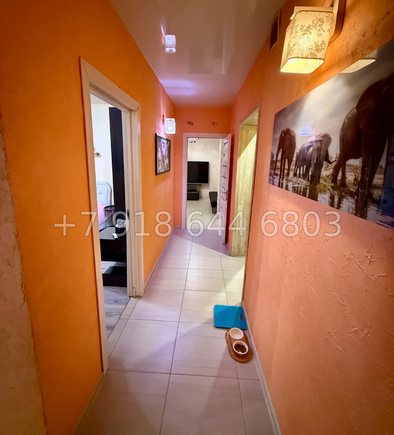 № 61р. Квартира в Сириусе. ЖК Солнечный Город Сириус  - миниатюра 8