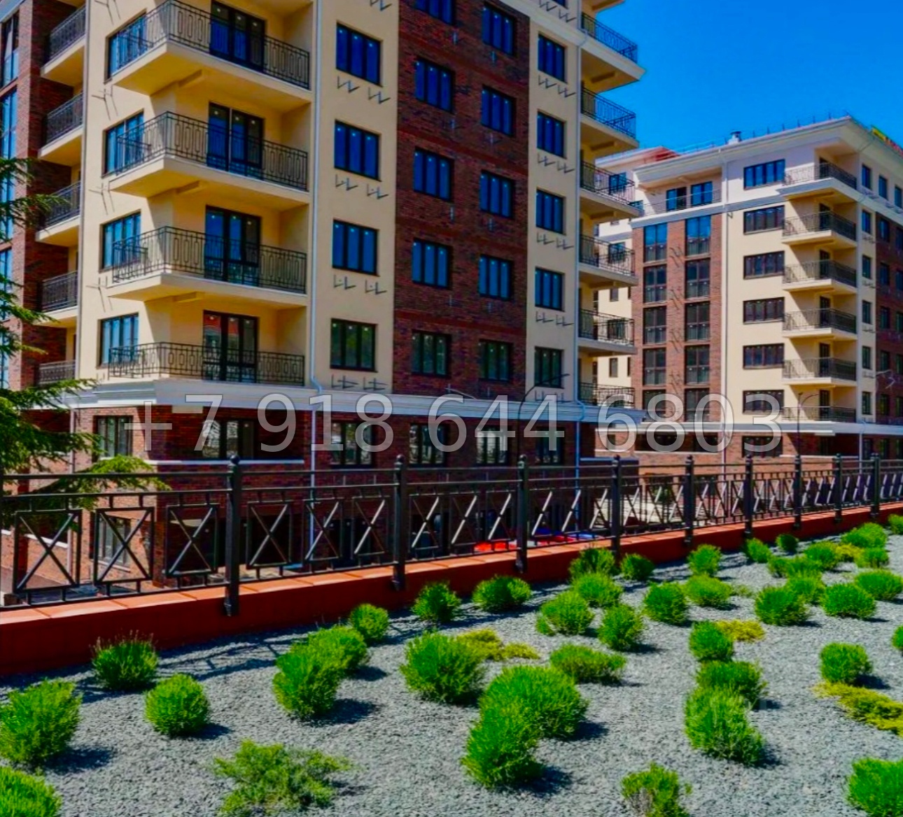 № 45 г. Крым Ялта апартаменты на море  - миниатюра 26