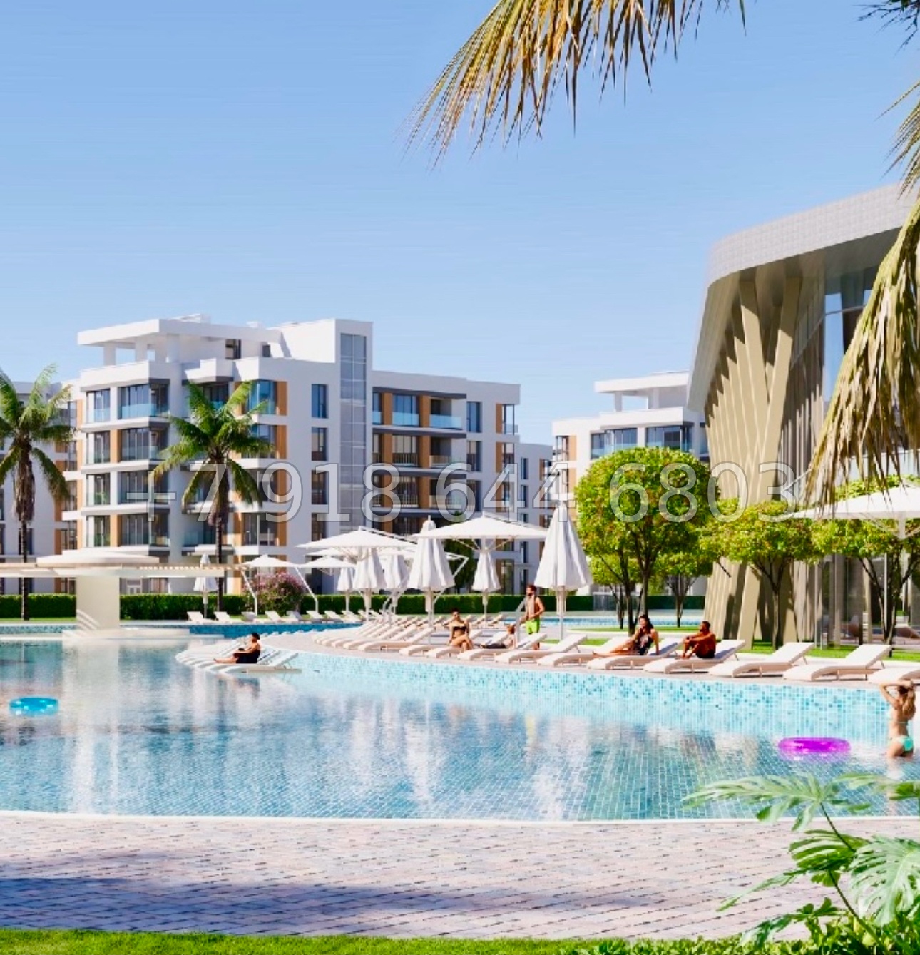 № 46 ю. АК Сады Киммерии Саки - миниатюра 20