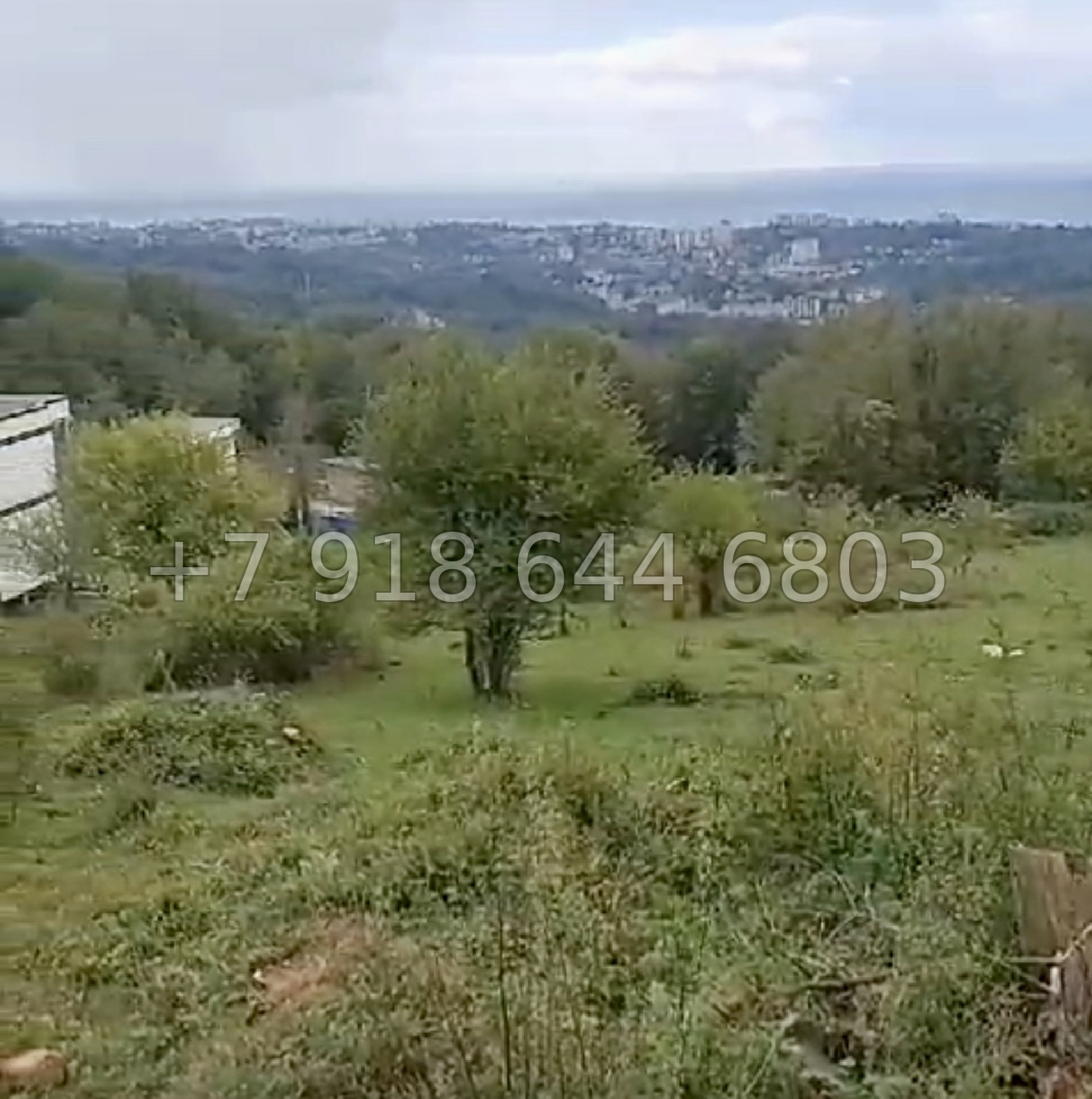 № 12 у. Земля в Адлере  - миниатюра 1