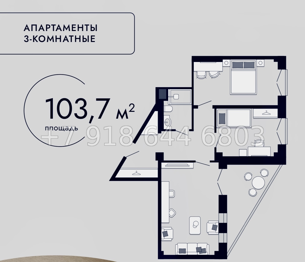 № 4ф. Cosmos Selection Arkhyz Архыз - миниатюра 22