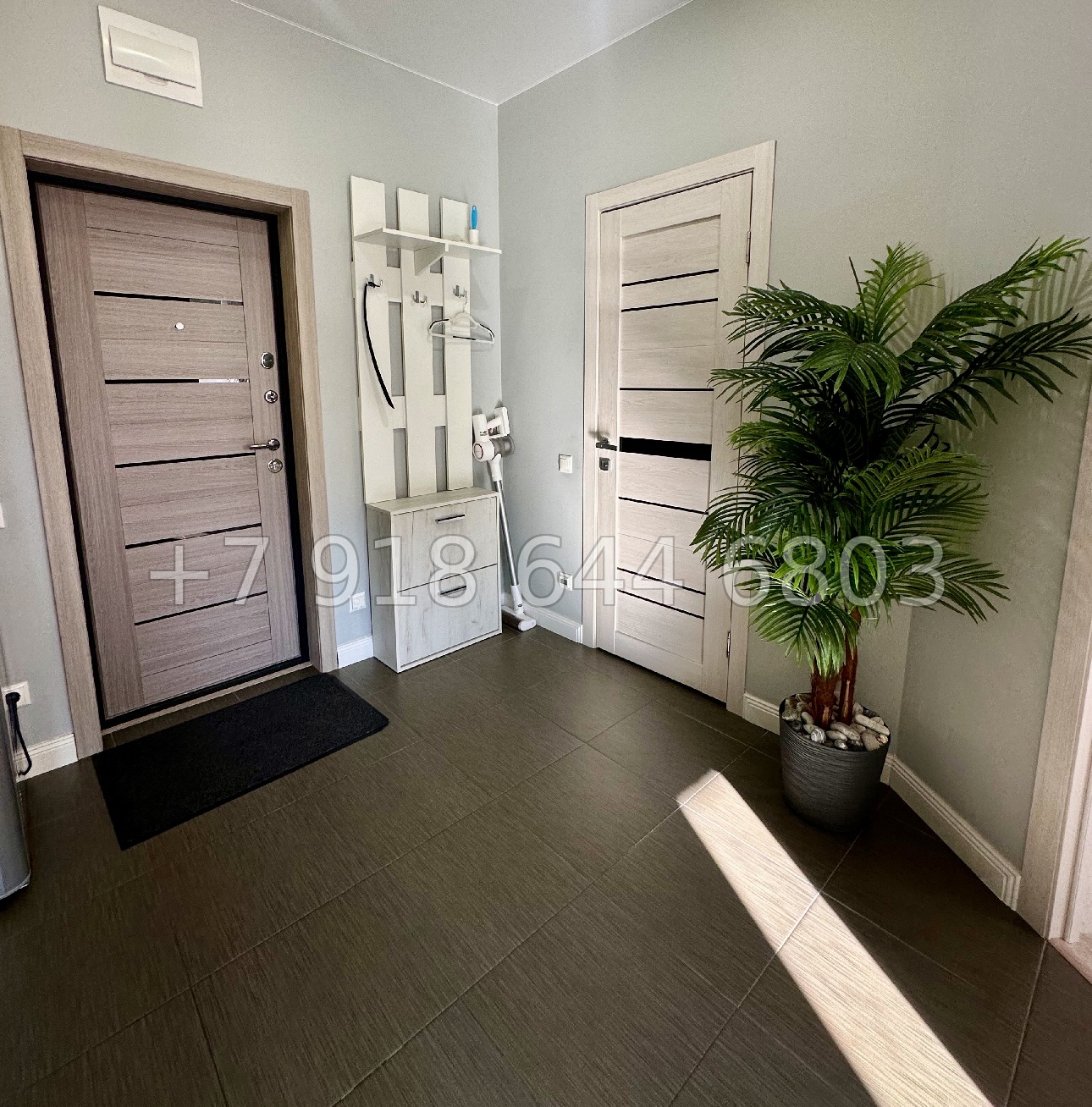 № 464 р. Квартира в Сириус  - миниатюра 4