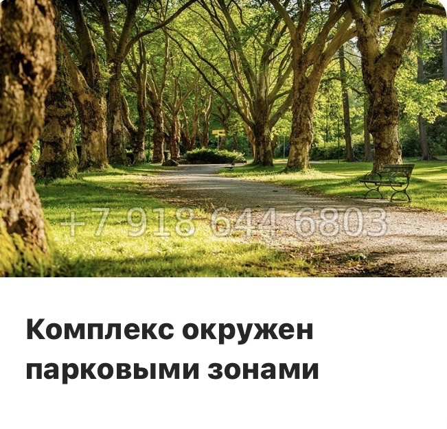 № 38 ы. Метро Дыбенко. Метро Ломоносовская. ЖК Дыбенко парк Санкт Петербург  - миниатюра 16