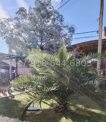 № 93 А. Дом с ремонтом в Адлере  - миниатюра 28