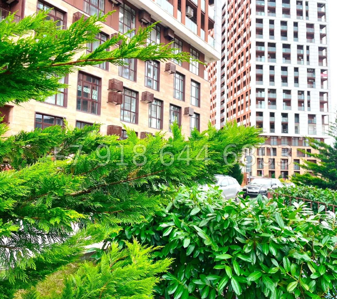 № 193 п. ЖК Аллея Парк Сочи Дагомыс  - миниатюра 19