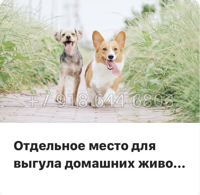 № 91 в. Метро Парнас. ЖК Финский квартал.  - миниатюра 27