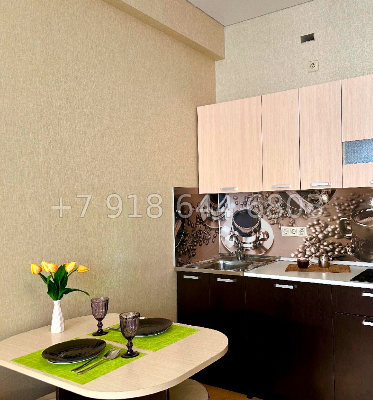 № 50п. Квартира в Адлере. Небольшая, но хорошая для сдачи и отдыха  - миниатюра 9