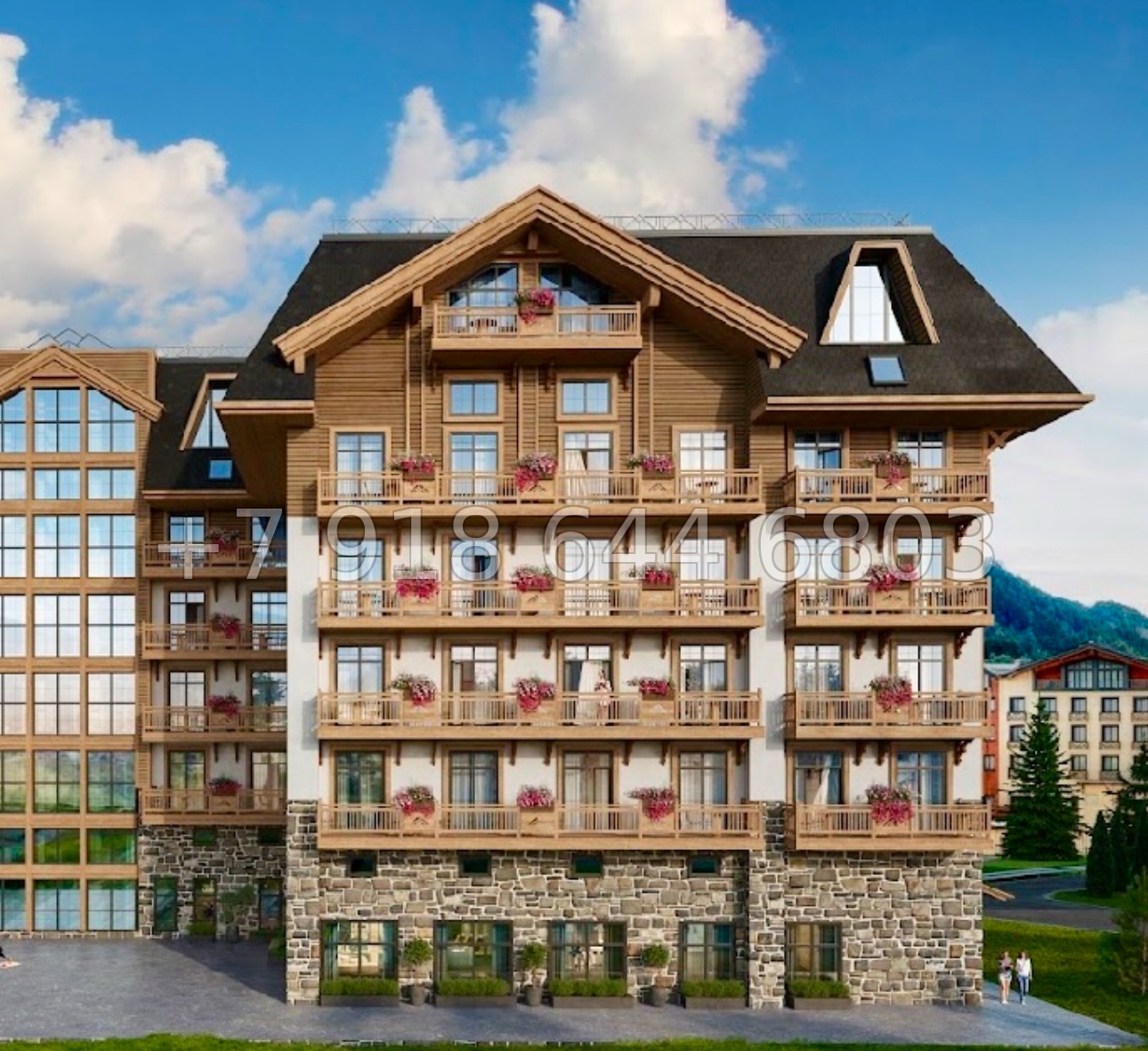 № 4ф. Cosmos Selection Arkhyz Архыз - миниатюра 17