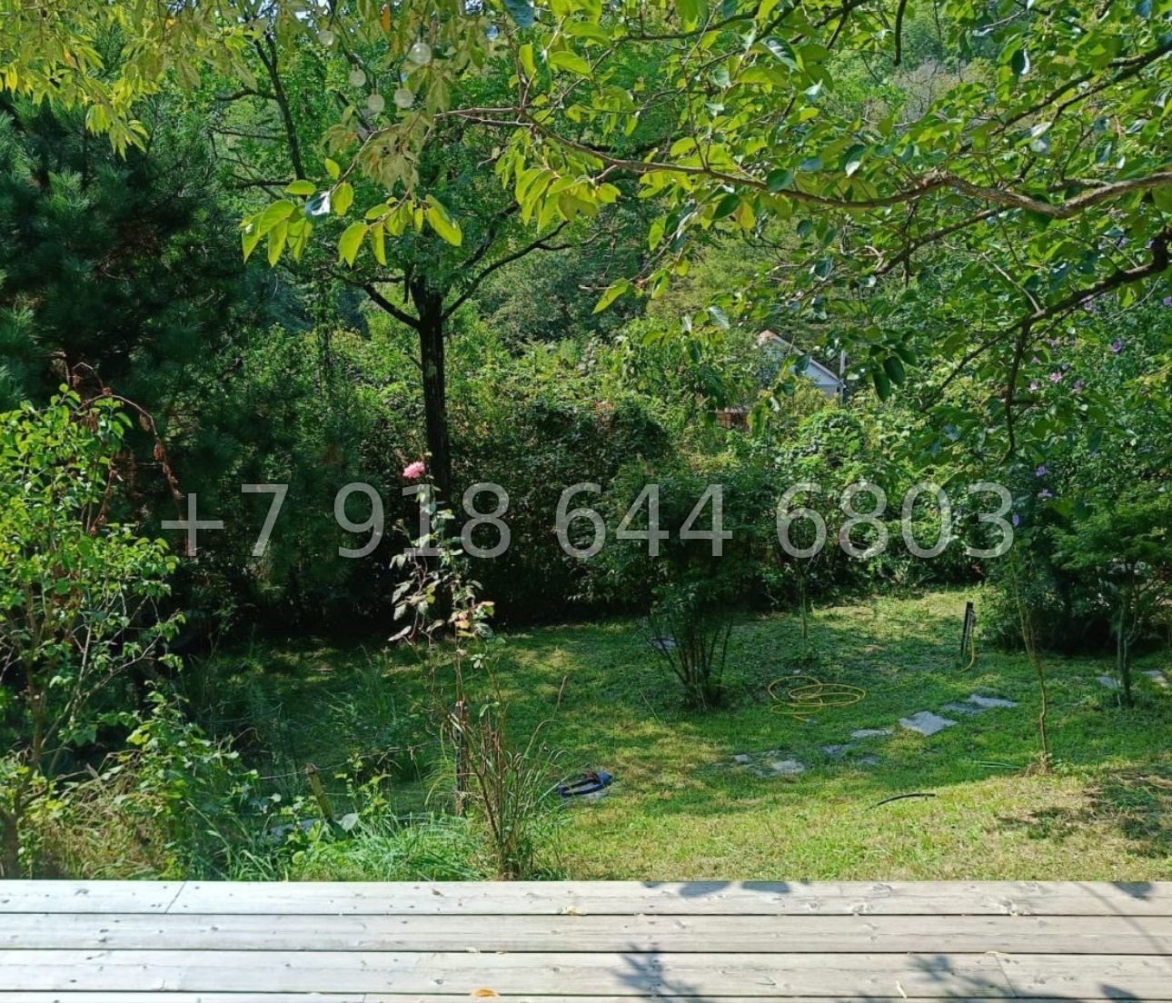 № 125 А. Дом с ремонтом в Адлере  - миниатюра 9