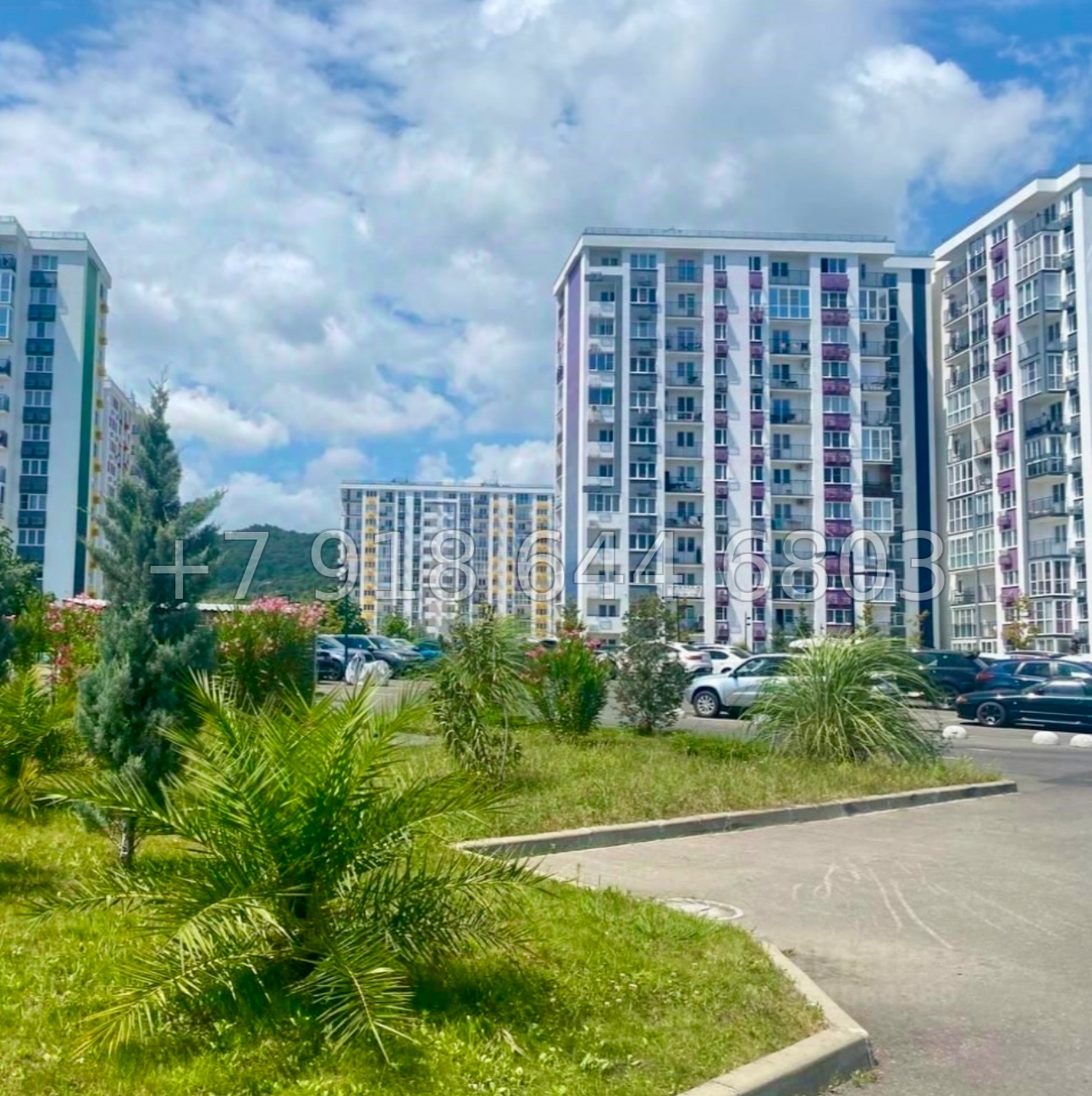 № 55р. Роскошная квартира в Сириусе. ЖК Фрукты Сириус  - миниатюра 14