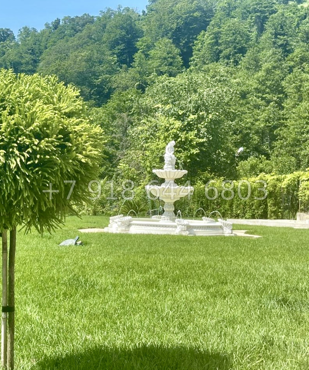 № 72 Б. Дом с озером с карпами в Адлере  - миниатюра 32